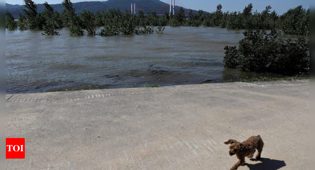 Residents relocated after dam breach at China's second-largest freshwater lake – Times of India