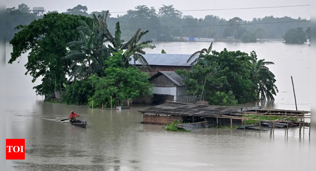 Assam floods: 23 lakh affected in 29 districts, water levels show signs of receding | India News