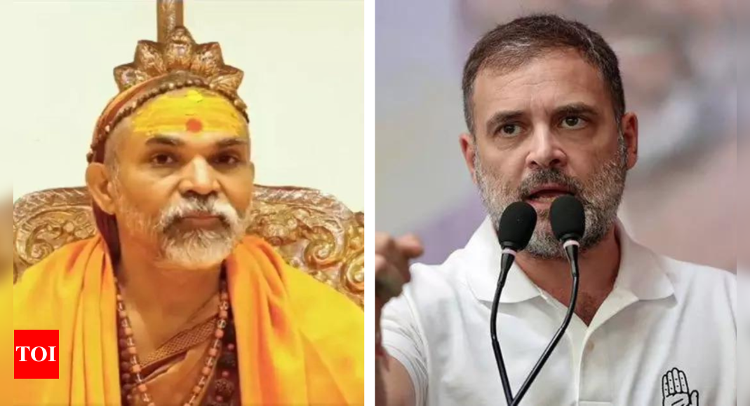 What Shankaracharya said over Rahul Gandhi's Hindu remark in Lok Sabha | India News