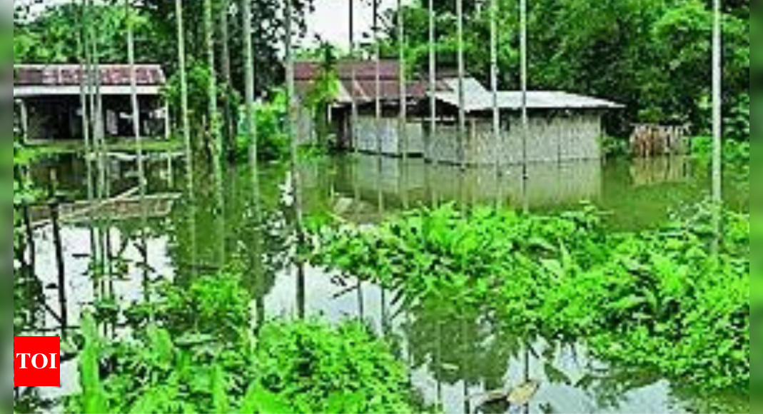 7 more die in Assam floods, toll rises to 79 | India News