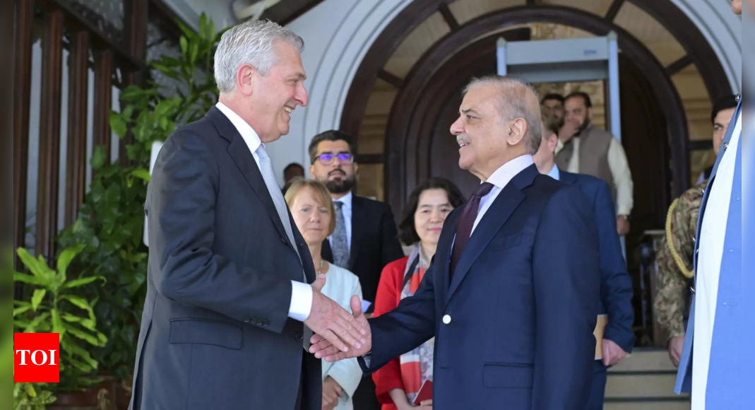 Pakistan PM Shehbaz Sharif urges international community to recognise 'burden of Afghan refugees' in meeting with UNHCR chief - Times of India