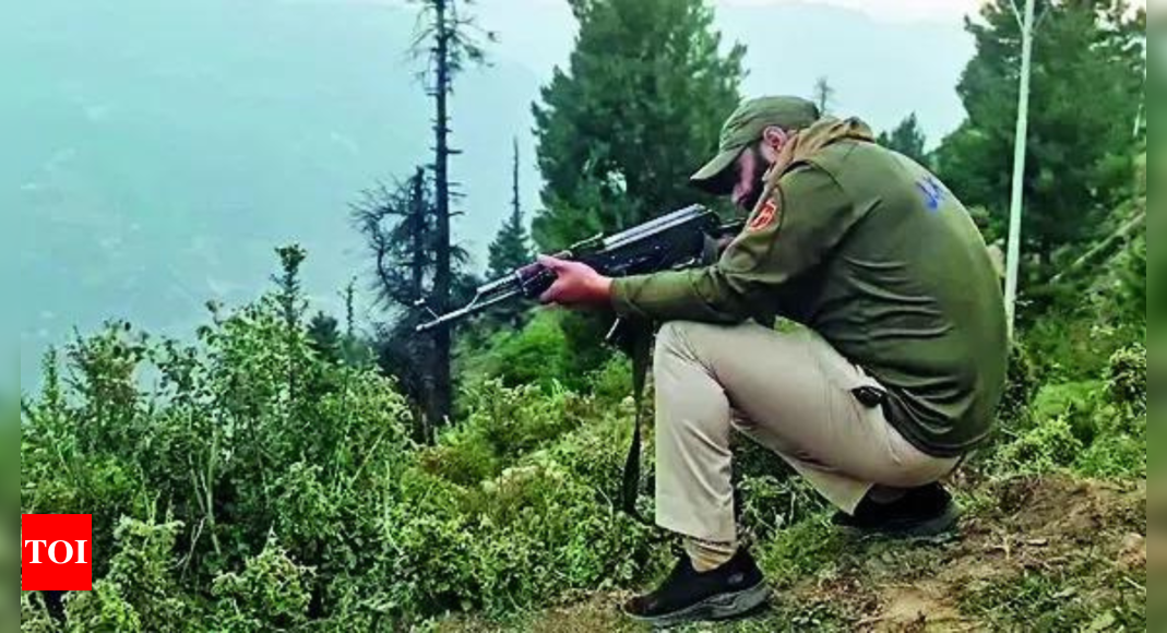 J&K sentry fires shots after spotting suspicious movement in Udhampur | India News