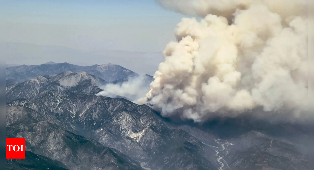 'We are in a fire year': Heat wave sparks alarming wildfire surge in western states of US - Times of India