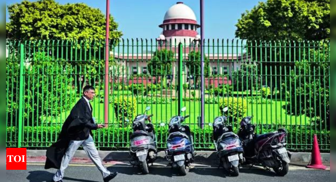 Courts shouldn't stay bail order in casual manner: Supreme Court | India News