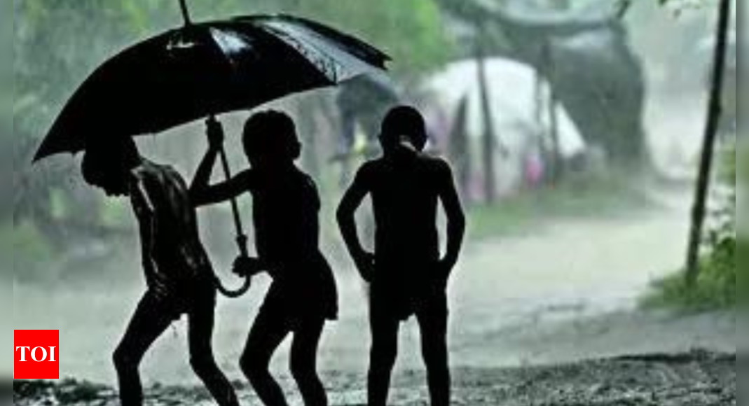 US forecasts delay in La Nina; may not impact monsoon | India News