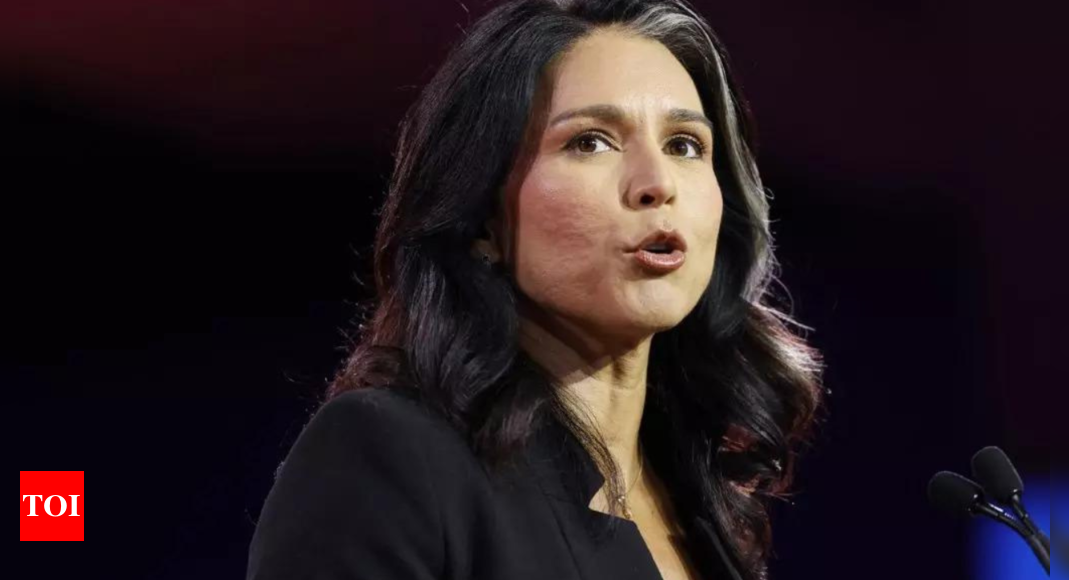 Tulsi Gabbard says Biden not calling the shots, neither Jill, Hunter are – Times of India