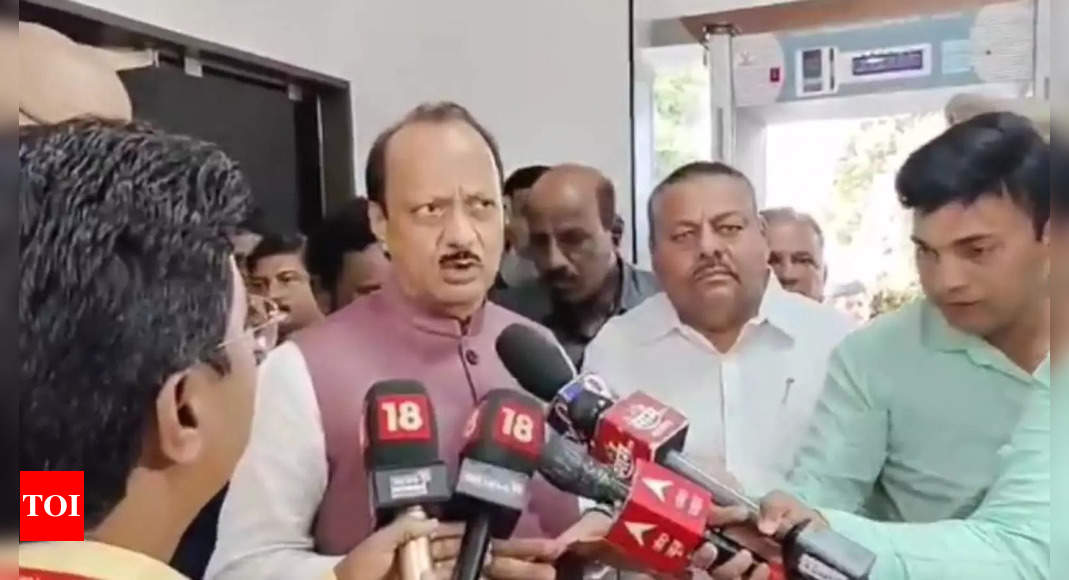 Don't believe in fake narratives on Constitution: Ajit Pawar to NCP workers | India News