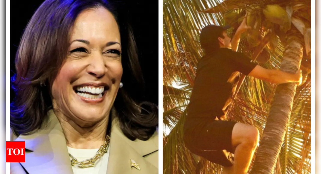 What’s the buzz about Kamala Harris' 'coconut tree' meme? – Times of India