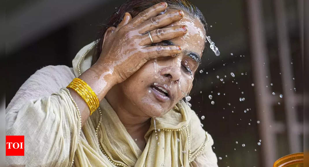 July 21 recorded as hottest day, breaks previous records - Times of India