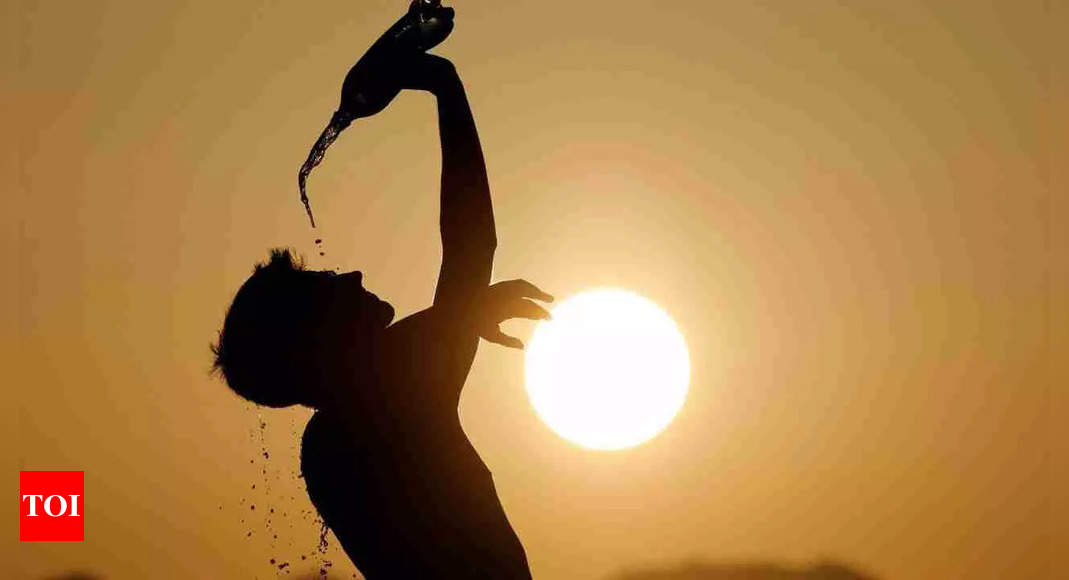 Heatwave fatalities rise in US: Hiker dies from heat and dehydration in Utah - Times of India