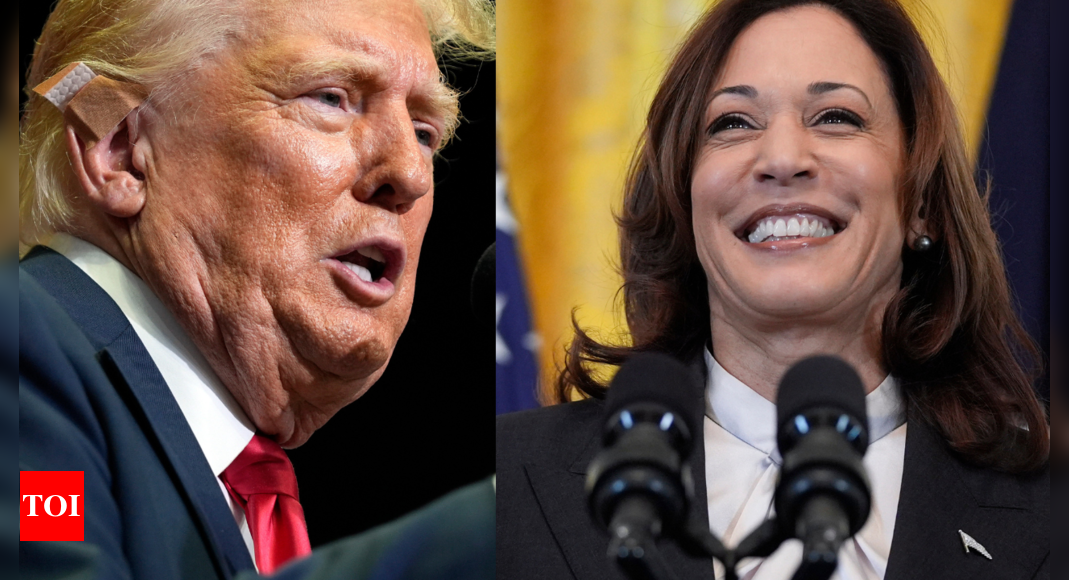 'Radical left lunatic ...': Donald Trump targets Kamala Harris at first rally since Biden's exit from 2024 race - Times of India