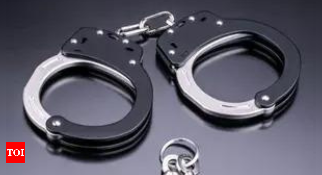 'Robber grandpas': Elderly trio charged with burglary in Japan – Times of India