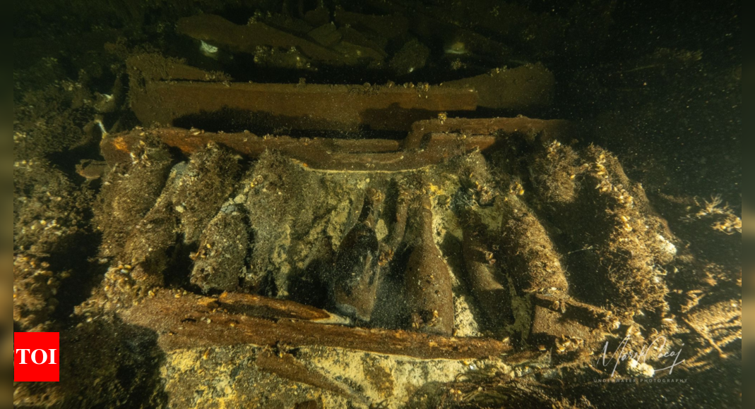 19th-century Baltic shipwreck loaded with champagne uncovered by Polish divers - Times of India