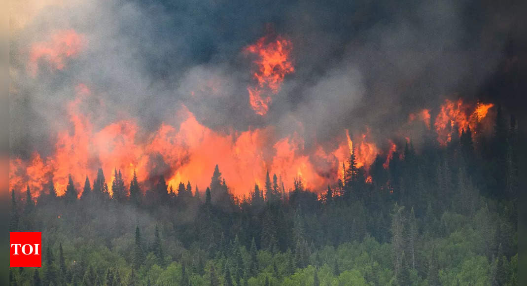 Devastating wildfires ravage Canada's Jasper, Alberta: Mass evacuations and international firefighting efforts – Times of India