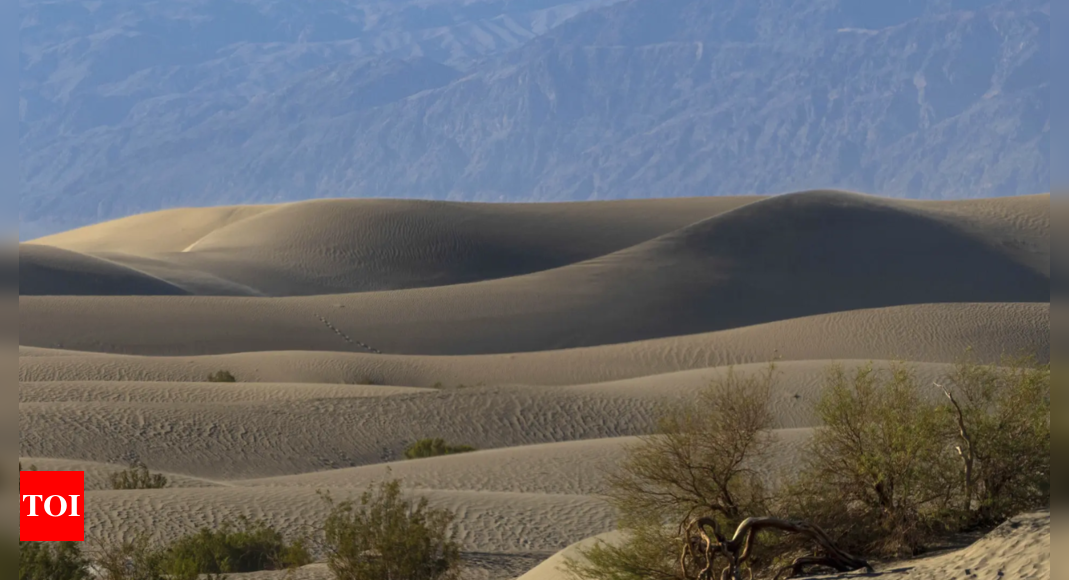 Tourist suffers third-degree burns while walking on blazing hot sand dunes in California's Death Valley – Times of India