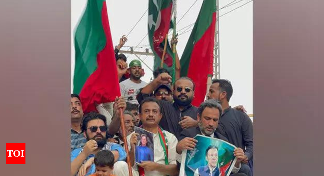 Pakistan Tehreek-e-Insaf organises rallies seeking release of jailed leader Imran Khan - Times of India