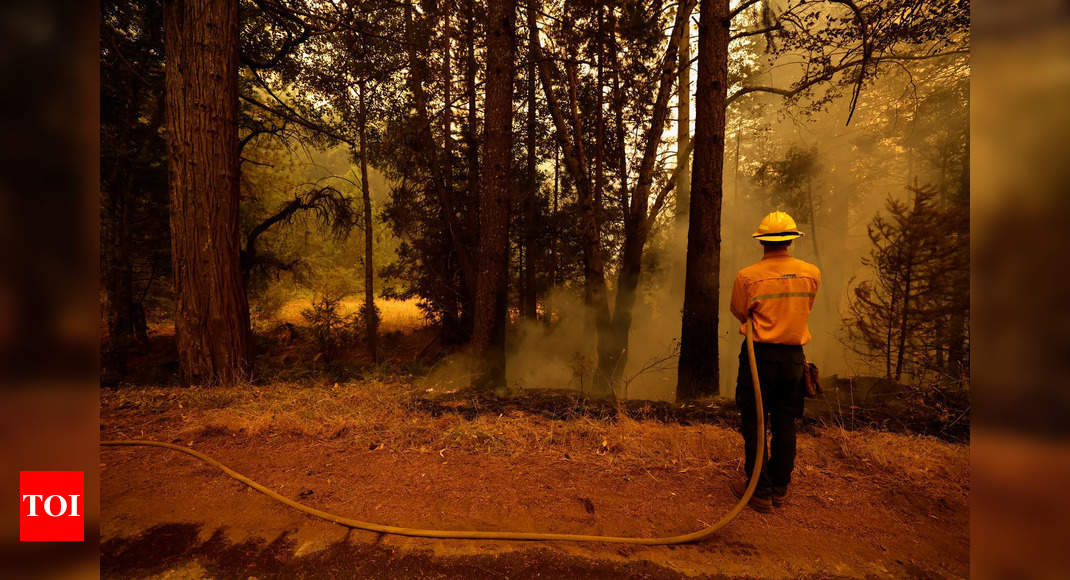 Devastating wildfires in Northern California: Why West is burning and what we can do – Times of India