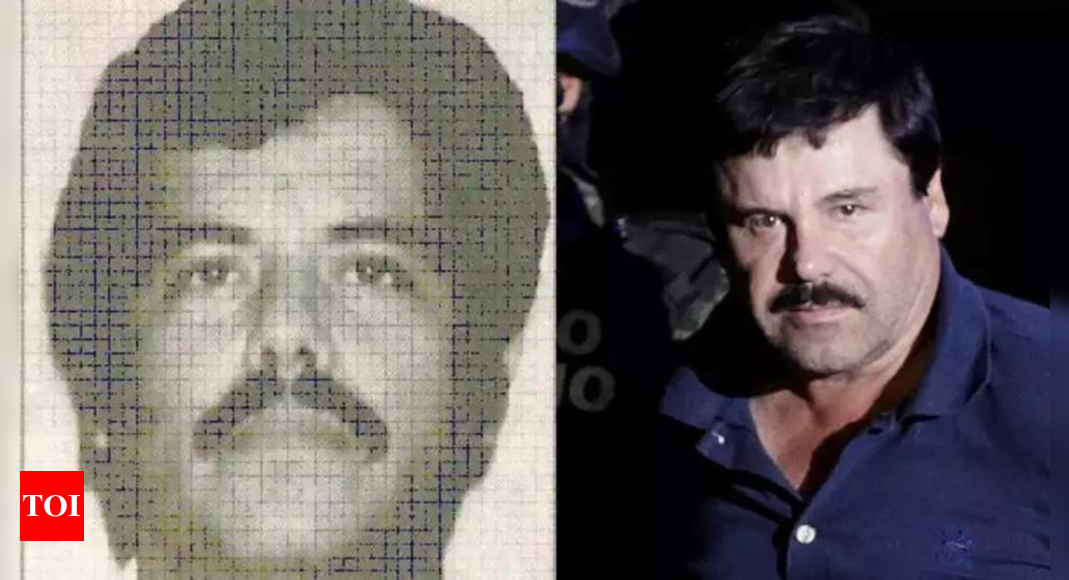 Mexican drug lord 'El Mayo' was 'kidnapped' by 'El Chapo's' son and taken to US: Lawyer - Times of India