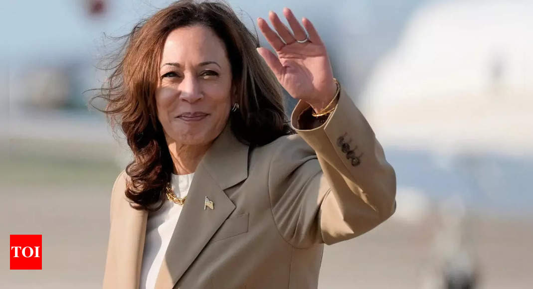 4.4 million Indian-Americans rally behind Kamala Harris’s presidential campaign: Democratic fundraiser - Times of India