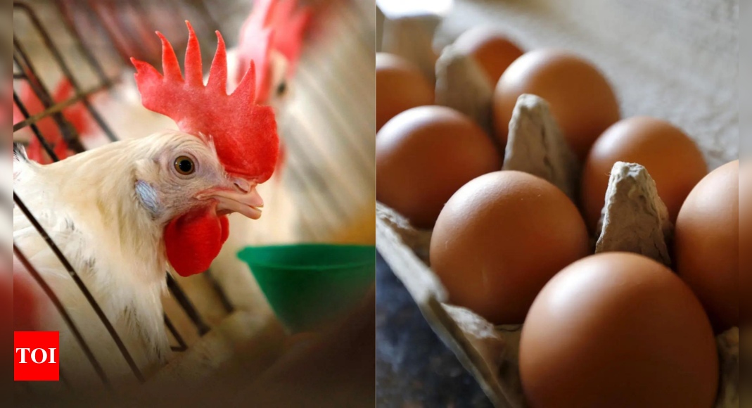 Chicken-or-egg riddle leads to murder in Indonesia; suspect arrested – Times of India