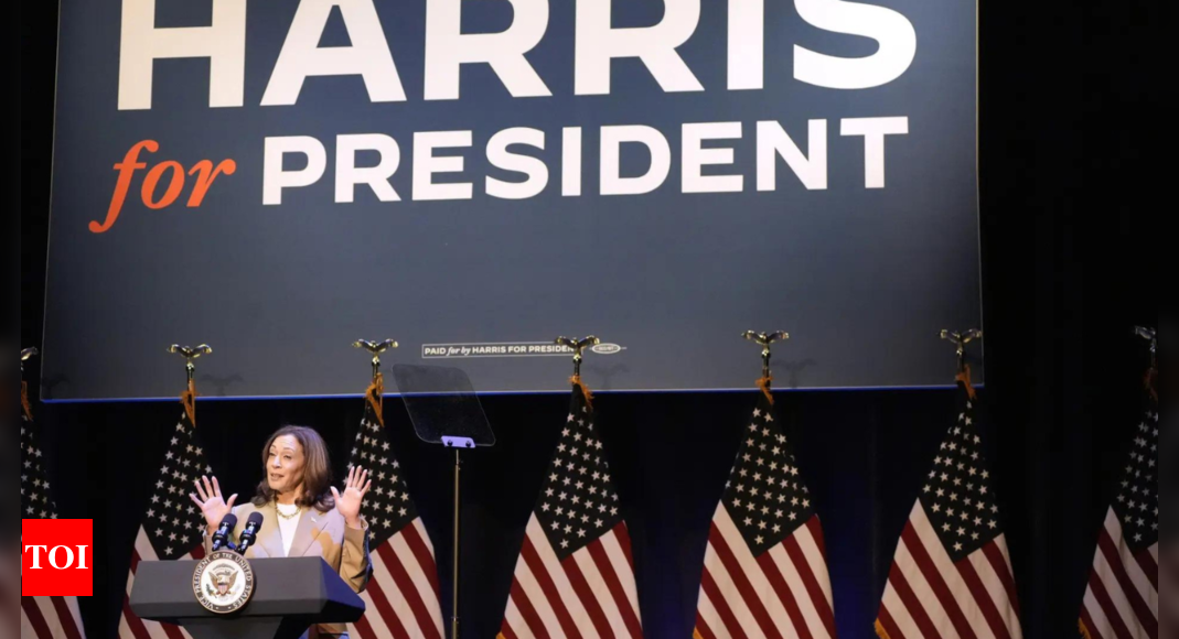 'White dudes for Harris' raise over $4 million, discuss women's rights – Times of India