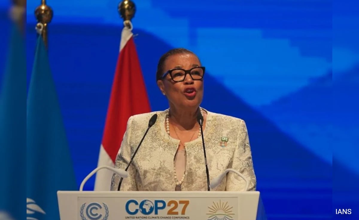 India Is Not Responsible For Climate Crisis, But…: Commonwealth Head