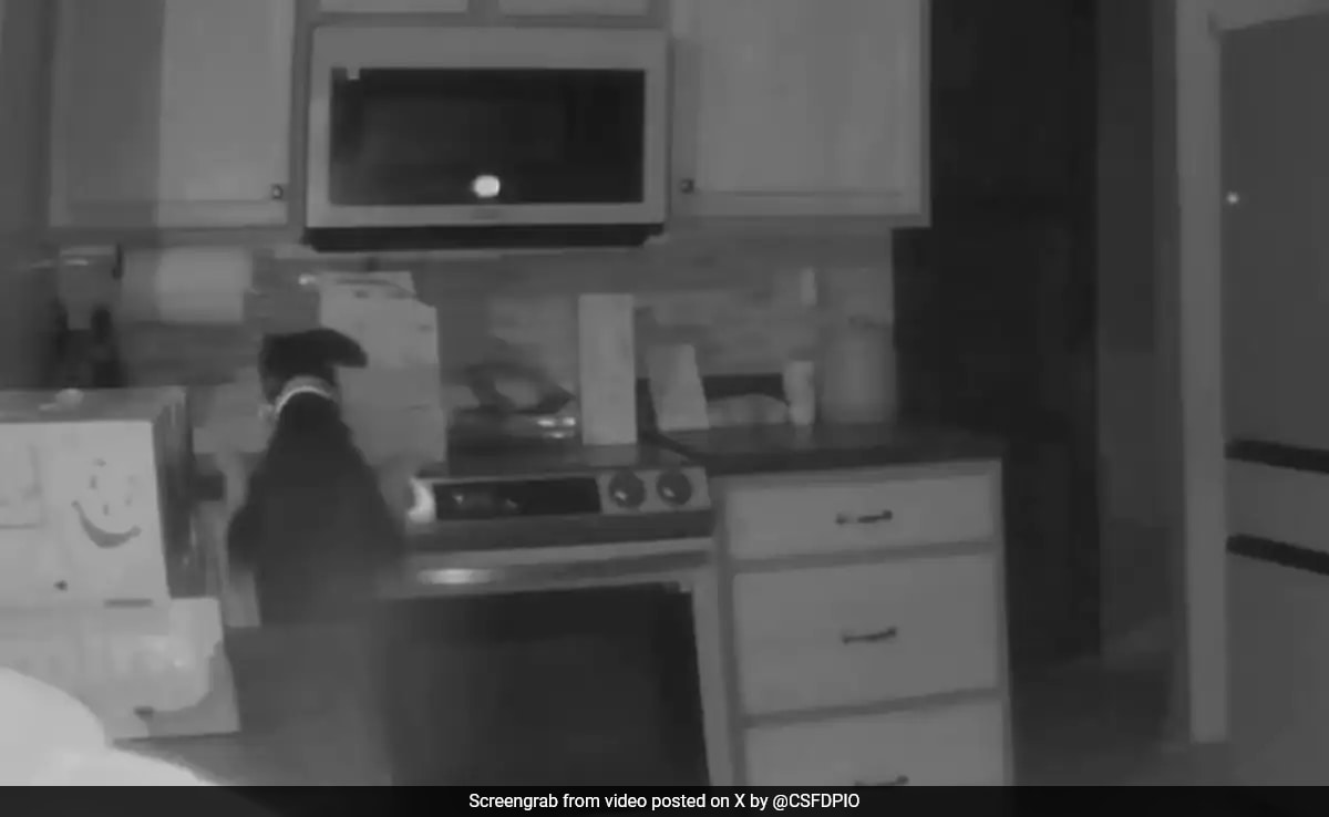 Dog Turns On Stove In US House, Apple HomePad Alerts Owners Of Fire