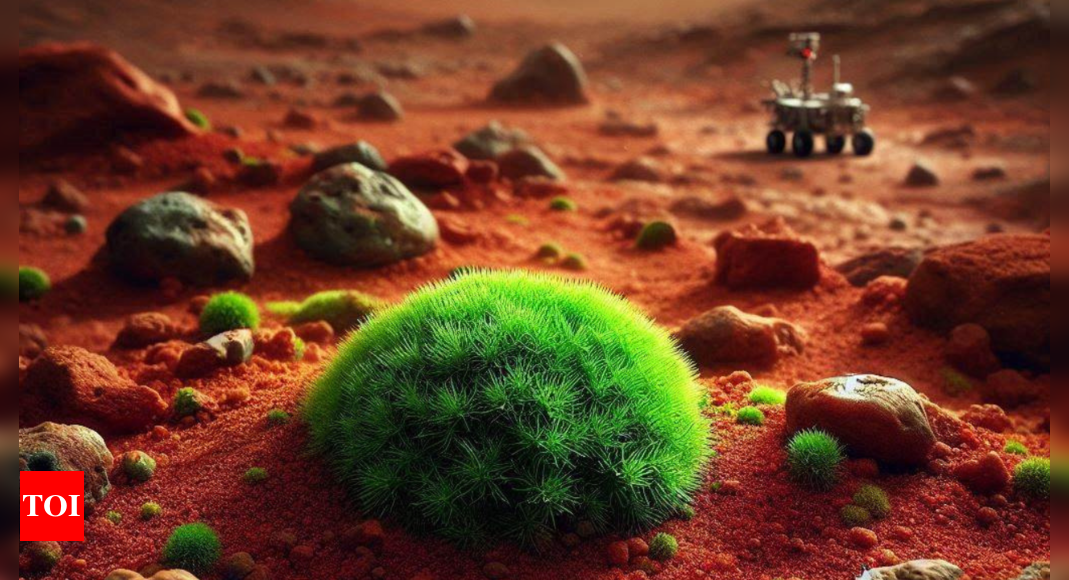 How this ‘super moss’ may help humans survive on Mars: Scientists reveal