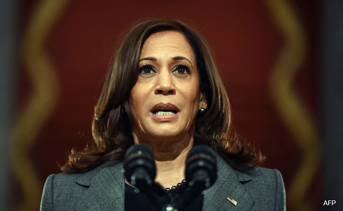 Internet Says Kamala Harris Is "Brat", And Her Campaign Is Embracing It