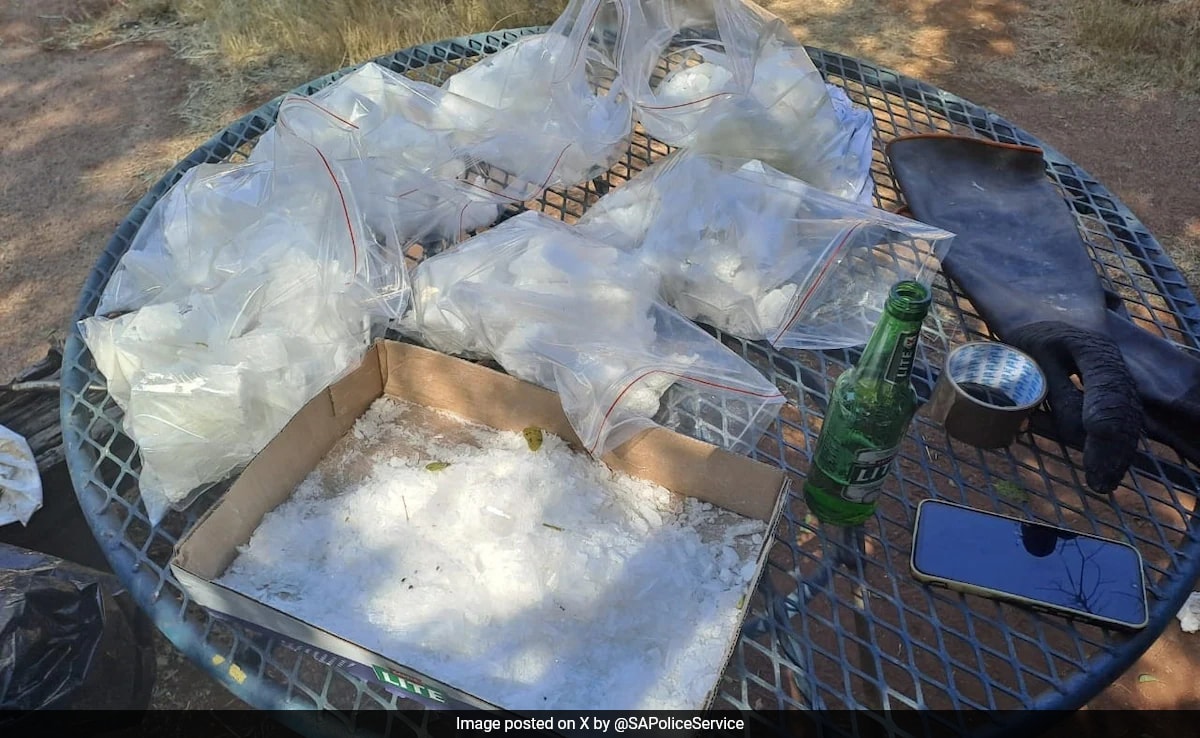 South African Police Uncover Multimillion-Dollar Meth Lab On Farm