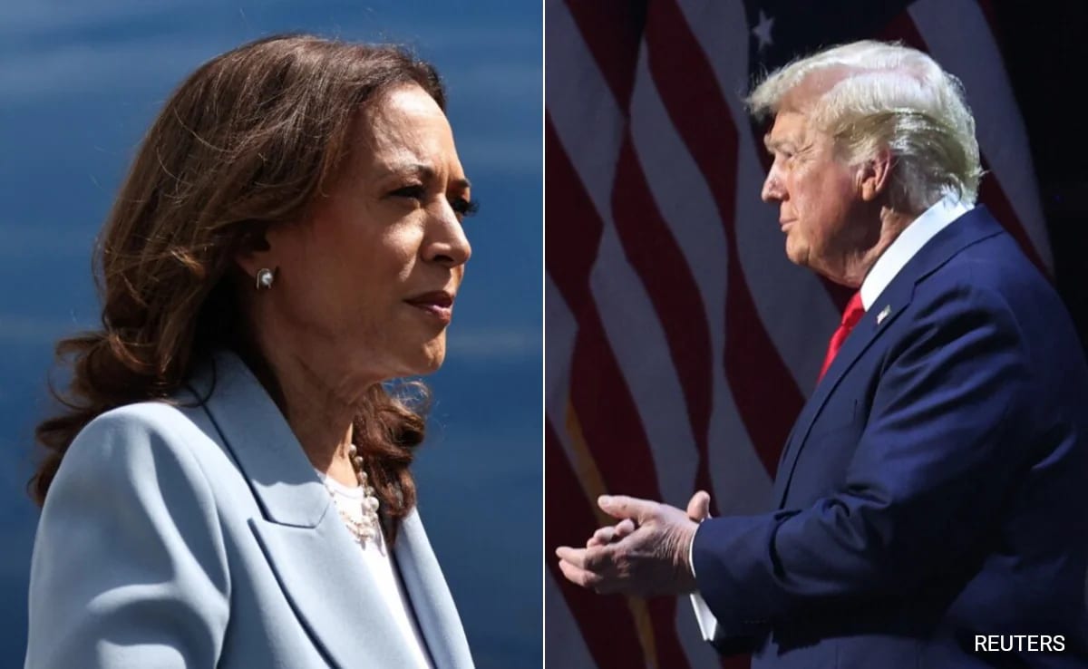 What Expert Who Predicted 9 US Polls Correctly Said On Trump vs Harris