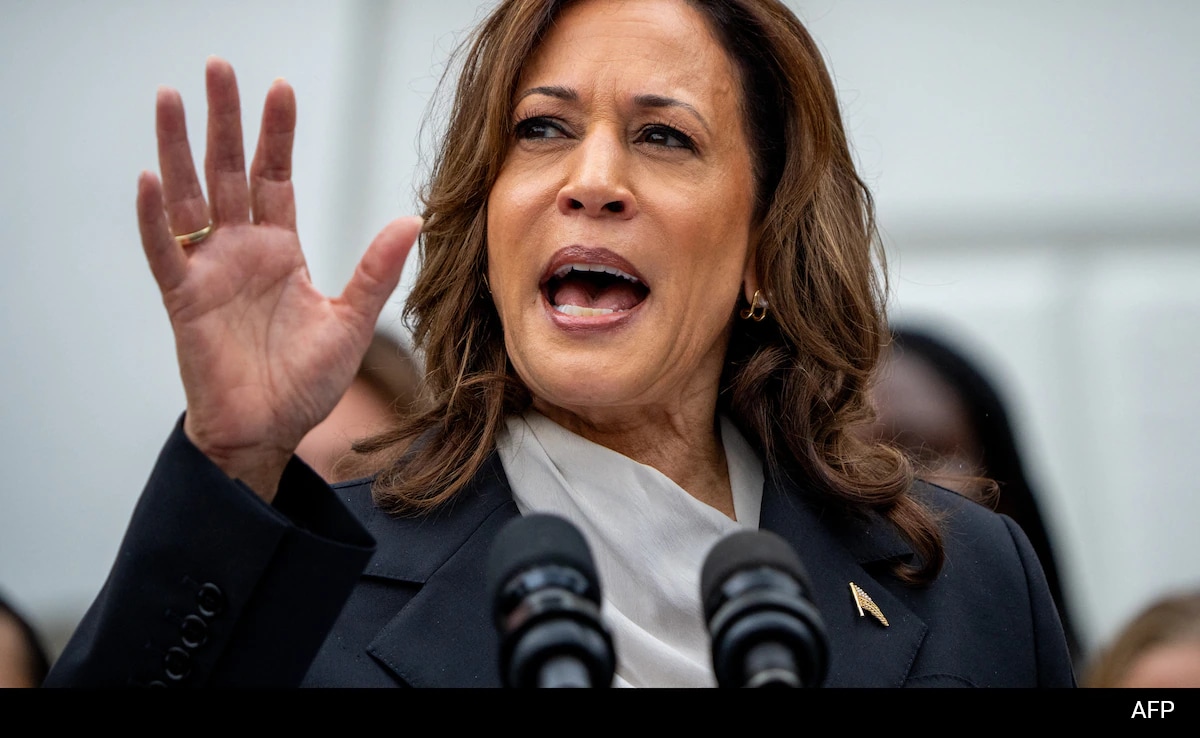 "I Know Trump's Type", Says Kamala Harris As She Launches Election Campaign