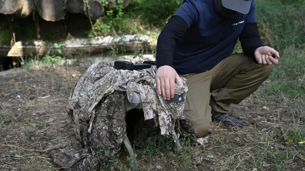 ​Next-gen war robots: Ukraine set to deploy 'BAD One' dogs for recon missions and mine detection