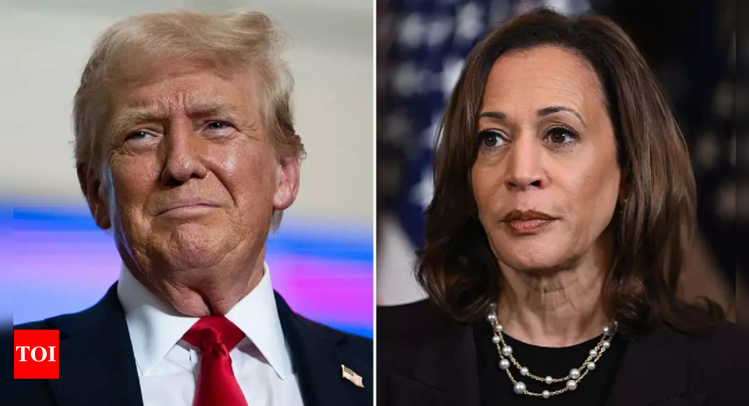 Dark side of the loon: Trump says Kamala was Indian before she 'turned black' – Times of India