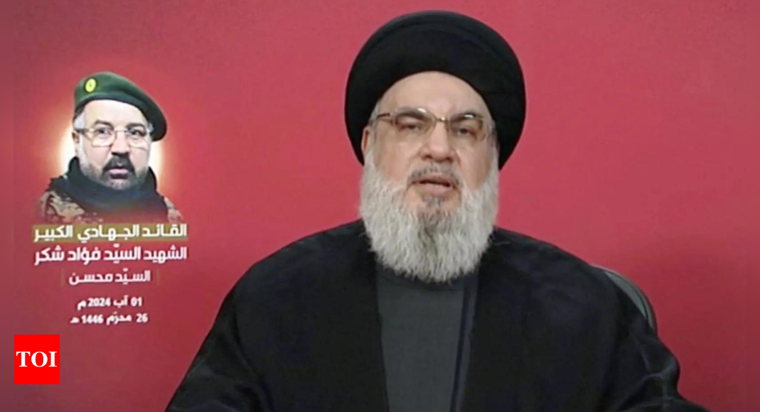 Hezbollah leader warns of 'new phase' in conflict after Israeli airstrike – Times of India