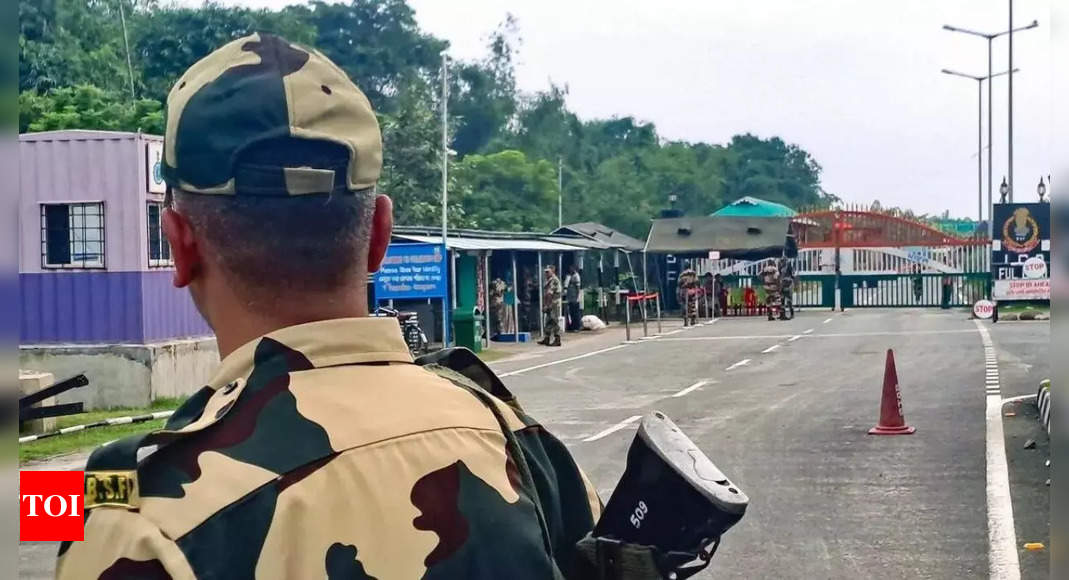 BSF stops hundreds of Bangladeshis 'attempting to sneak into Indian territory' | India News – Times of India