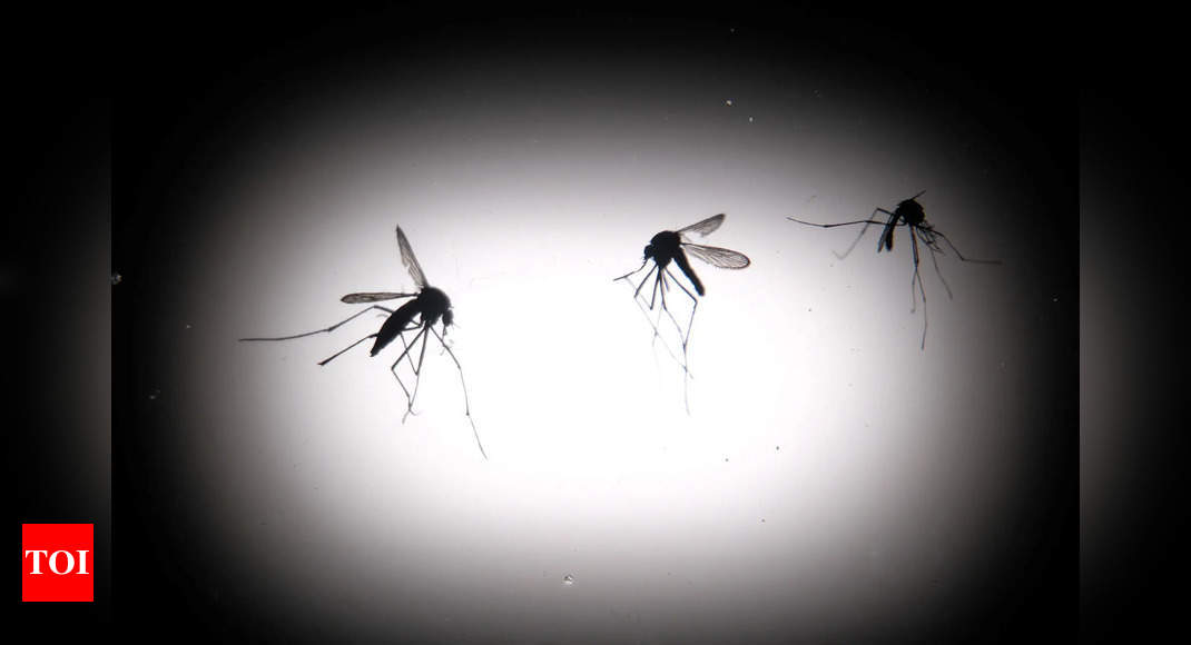 Mosquitoes bite into health insurance claims