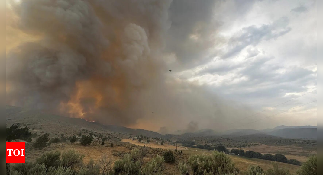 Record-breaking wildfires scorch more than 1.4 million acres in Oregon, authorities say