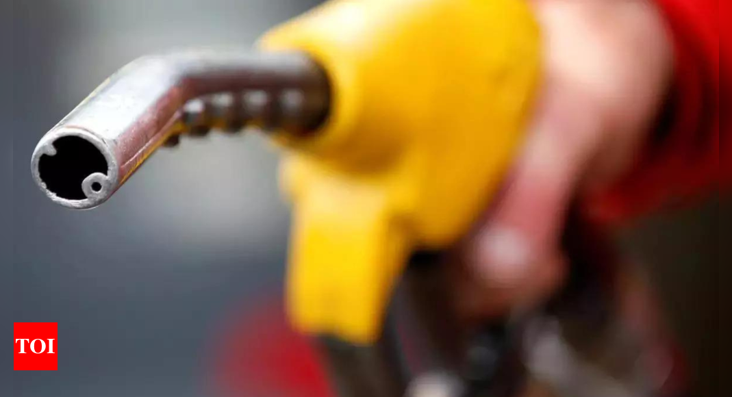 Government moves to ready ground for 5% ethanol mix in diesel | India News