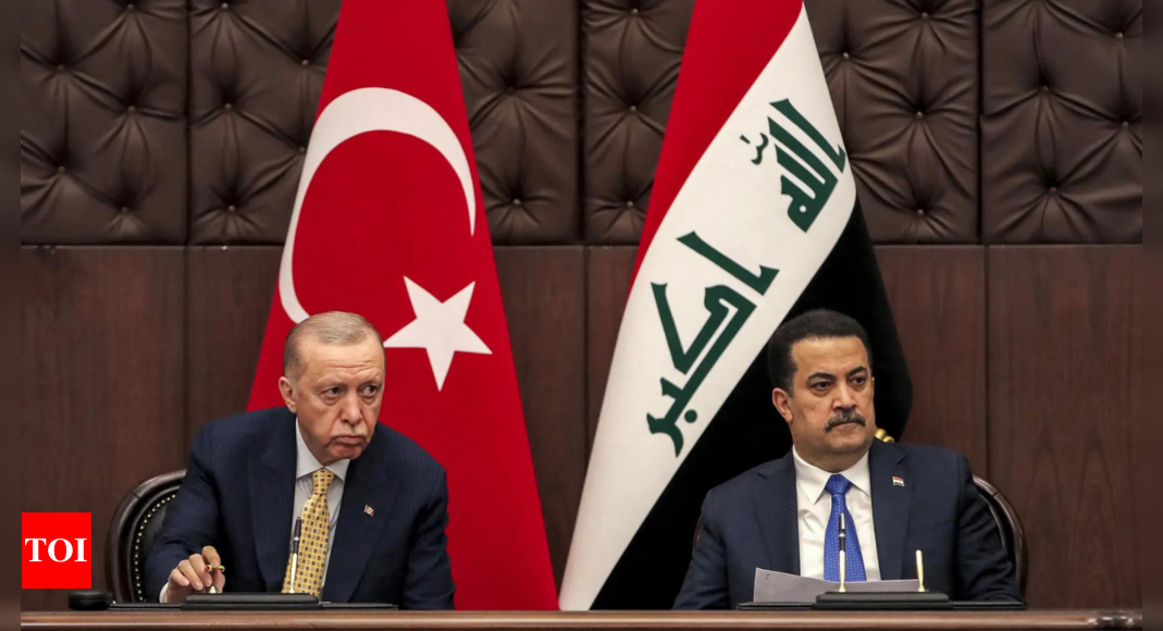 Turkey, Iraq to hold new round of security talks in Ankara, source says - Times of India