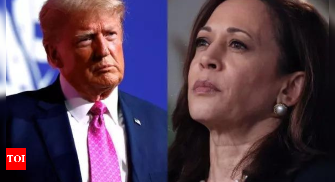 US elections: Kamala Harris surges ahead in 6 of 7 battleground states, tightens race against Donald Trump in new polls – Times of India