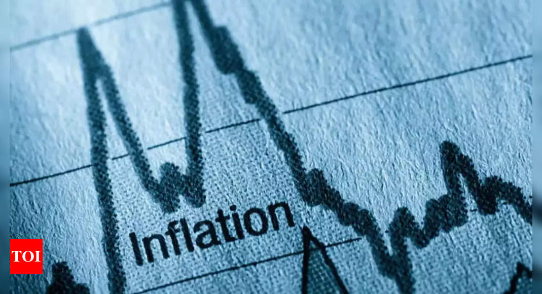 WPI inflation moderates to 3-month low