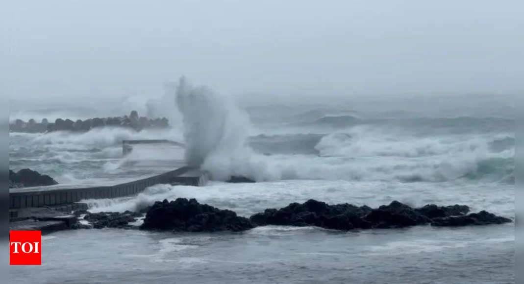 Flights and trains cancelled in Tokyo as 'very strong' typhoon approaches Japan's Pacific coast - Times of India