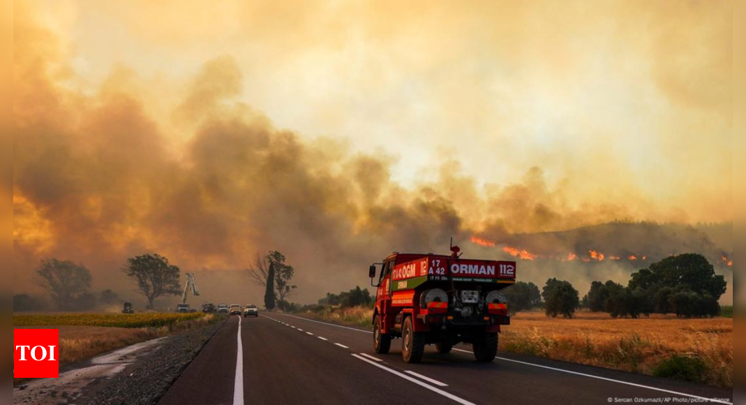 Turkey wildfires threaten homes and war memorials - Times of India