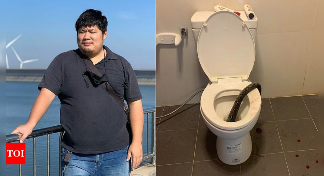 Thai man kills 12-foot python after it bites him on testicles in toilet - Times of India