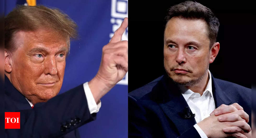 Musk in the White House? Trump floats Elon as US government 'fat cutter' extraordinaire; Watch video – Times of India