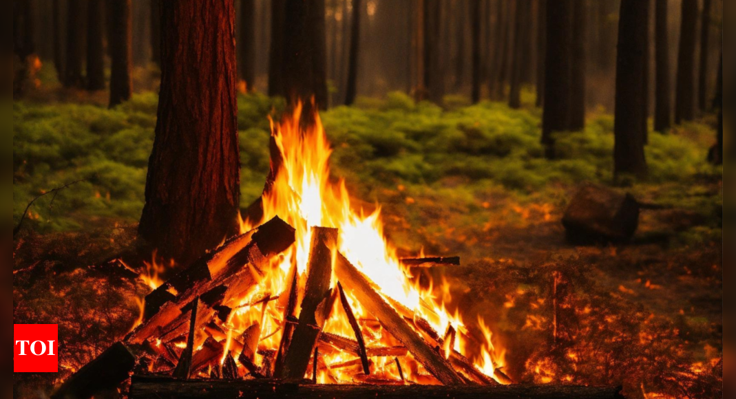 British Colombia to lift campfire ban for coast and southeast soon – Times of India