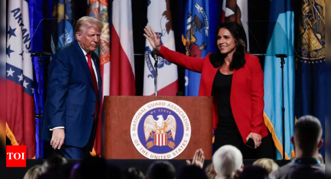 US presidential elections: Tulsi Gabbard endorses Donald Trump as moderate Republicans flee MAGA - Times of India