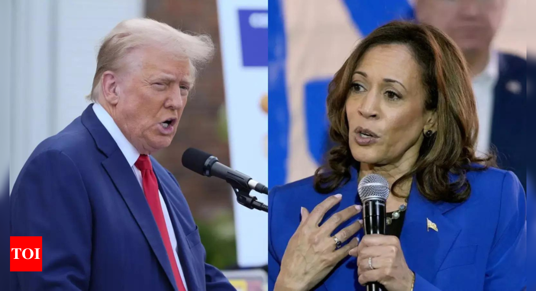 Trump campaign fires back at 'preposterous' Harris border wall narrative post media report: 'Total bulls**t' – Times of India