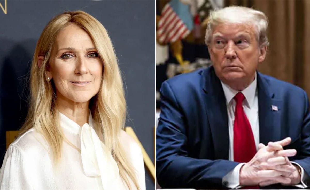 Celine Dion Slams Donald Trump For